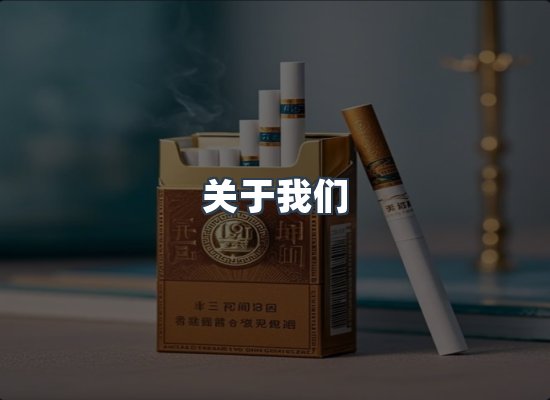 专业团队